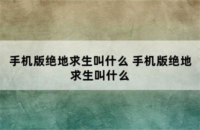 手机版绝地求生叫什么 手机版绝地求生叫什么